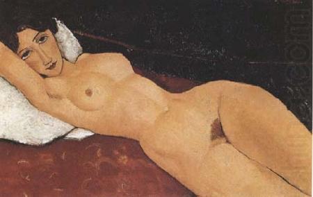 Reclining Nude on White Pillow (mk09), Amedeo Modigliani